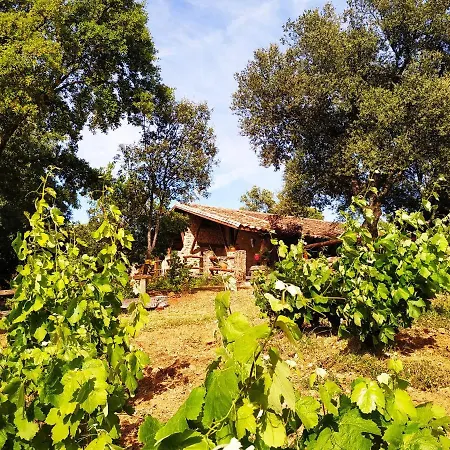 La Simona *