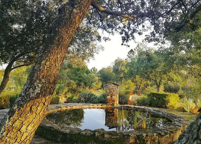 La Simona * Пералес-дель-Пуэрто