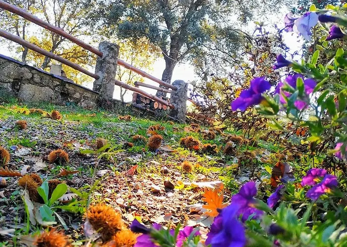 La Simona * Пералес-дель-Пуэрто